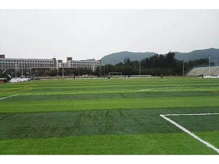 人造草足球场地分类及施工标准