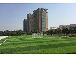 足球场人造草坪施工铺设时应注意的问题