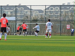 北京人造草足球场在现代生活中有很大作用