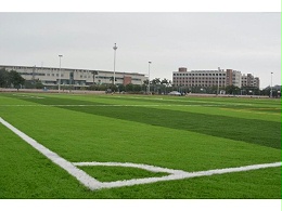 足球场人造草基础知识普及