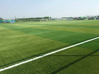 怎样应对人造草足球场带来的“副作用”