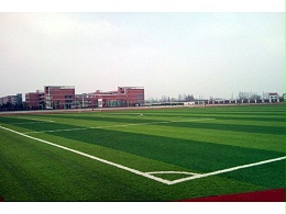 分析人造草规格与性能