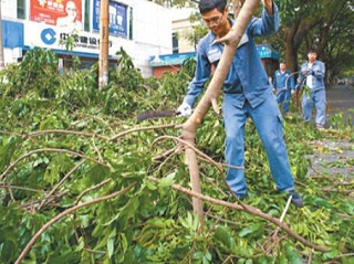 “山竹”登录，人造草足球场要做好防范准备