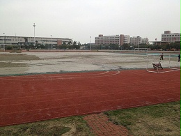 足球场人造草有什么趋势