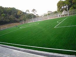 足球场人造草和天然真草哪个更好