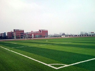 想建设人造草足球场，请记住以下这些要求