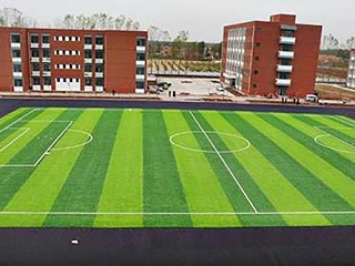 谢霆锋帮学员伴奏，人造草足球场建设还不需要专业人士吗？