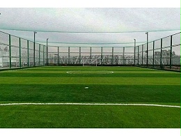 教你如何辨别非环保人造草