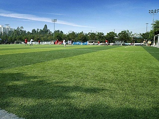 北京人造草足球场的环卫之神