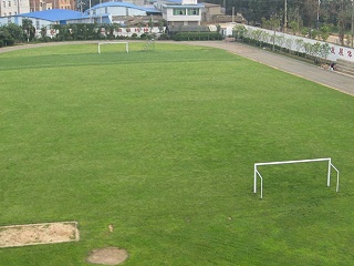 石油价格又涨了，北京人造草足球场会不会也涨价？