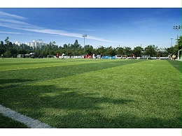 足球场人造草坪优点及施工方法