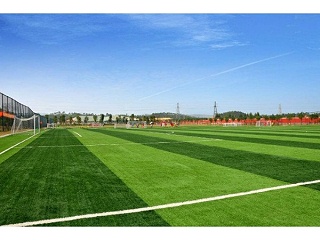 天然草足球场与人造草足球场的误区