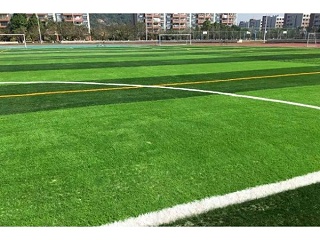 人造草足球场未来发展新方向