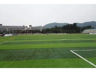 人造草足球场施工需谨慎