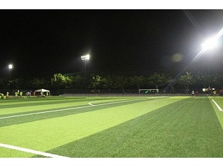 浅析国内市场足球场人造草坪价格