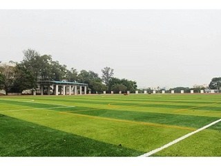 人造草坪价格影响因素