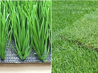 人造草足球场与天然草足球场差别大