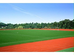 足球场人造草坪与天然草坪相比，优势在于哪里