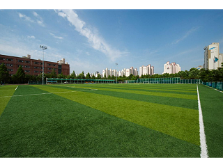 十一人制足球场人造草坪场地的五个铺设要点