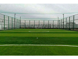 足球场人造草坪与自然草有什么区别及优势