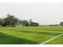 人造草坪 VS 天然草坪,谁更胜一筹