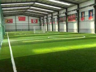 室内的足球场是不是都是人造草足球场？