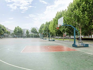 篮球馆建设包括哪些