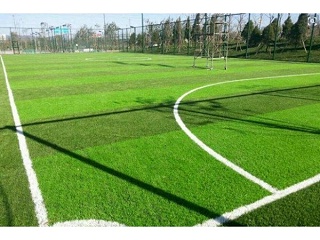 人造草足球场建造事业在国内的发展前途
