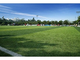 人们为何愈来愈倾向于选择人造草足球场