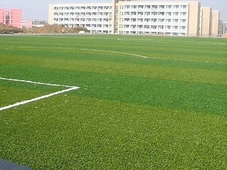 为什么客户会选择颜色不一样的人造草足球场