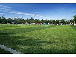 冬季足球场人造草坪的使用优势