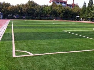 全国的人造草足球场达到了饱和吗？