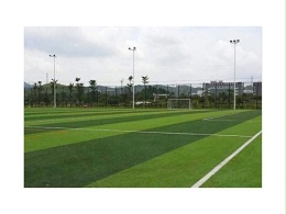 草坪足球场管理