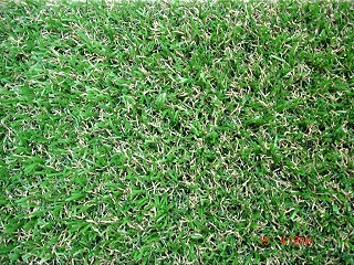 人造草足球场接捧天然草足球场