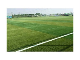 草坪场地的地面基础