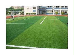 恭喜人造草足球场进入足球世界杯赛场