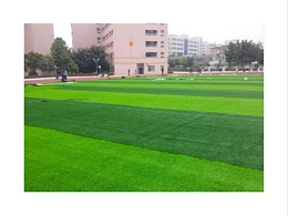 足球场人造草坪坪具有哪些优势