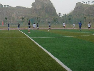 我在北京人造草足球场的训练