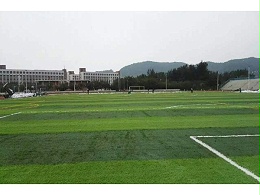 人造草坪的化学成分和材料结构