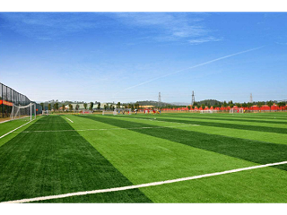 季节性维护保养人造草足球场