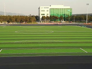 人造草足球场的草坪颜色可以更换吗