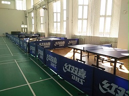 赵全营中学乒乓球桌项目