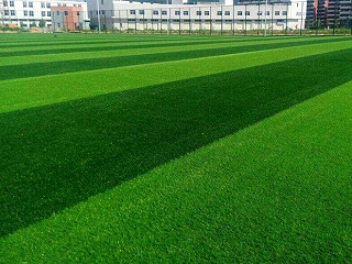 在未来的人造草足球场会不会将是五花八门的?