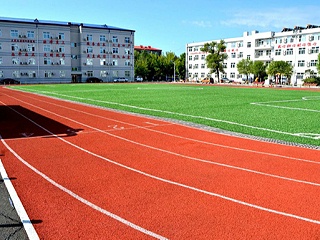 为什么越来越多的学校选择人造草足球场呢？