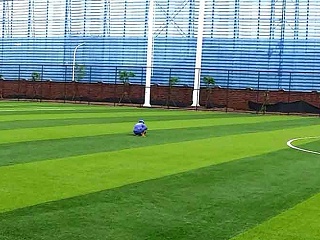 哪里人造草足球场的检测维修服务？