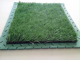 避免“毒”草坪给人造草足球场带来危害的办法