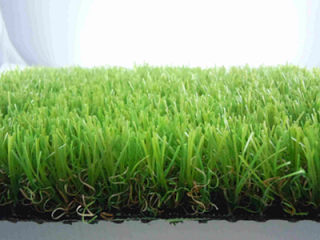 足球场草皮是什么草