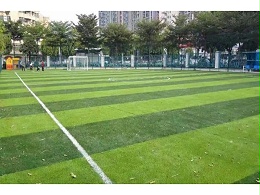 大多数专业俱乐部选择人造草坪足球场的理由