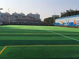 人造草足球场选购途径已经多样化