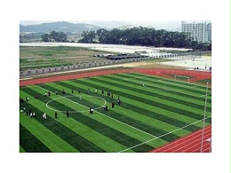 翻新人造草足球场的步骤